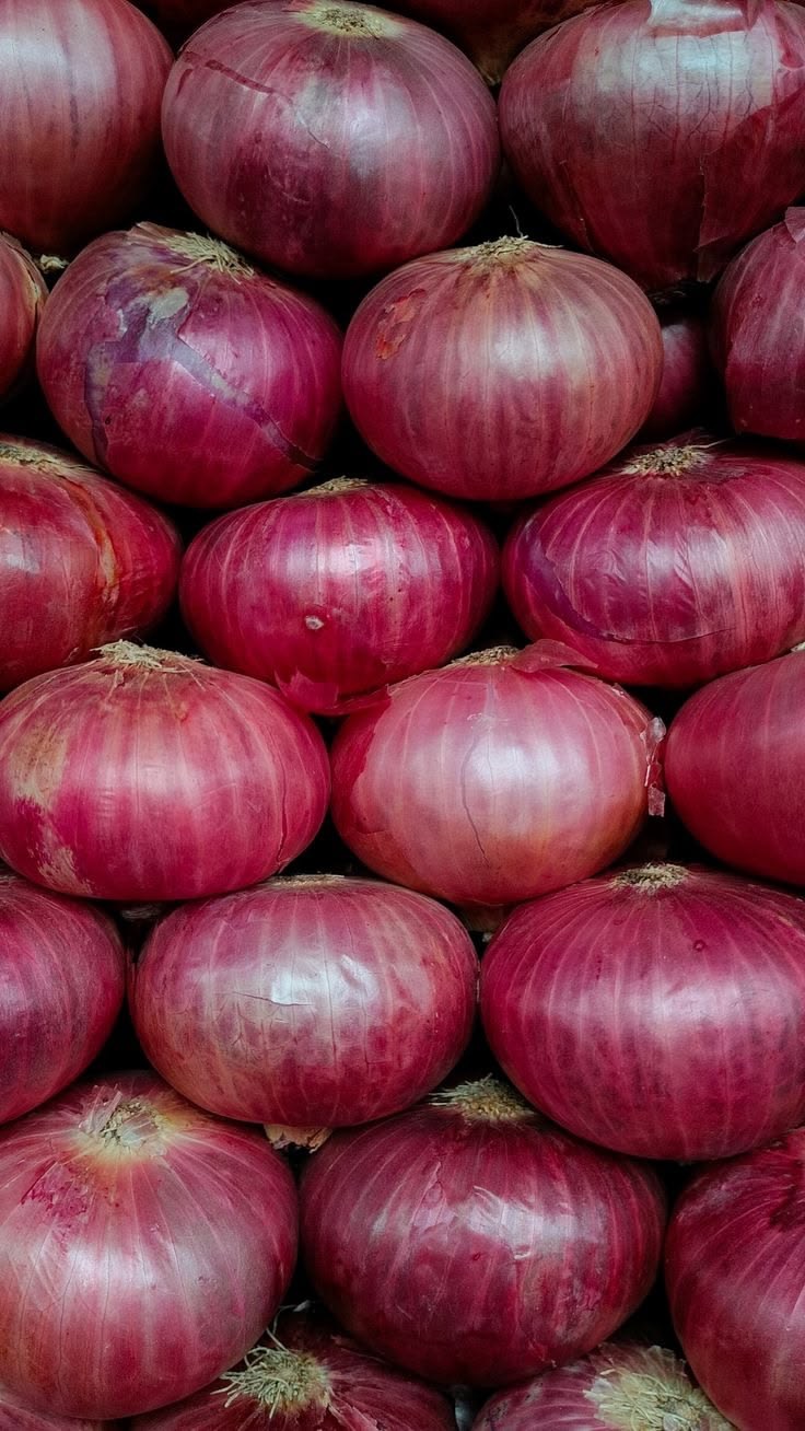 Close-up of fresh red onions