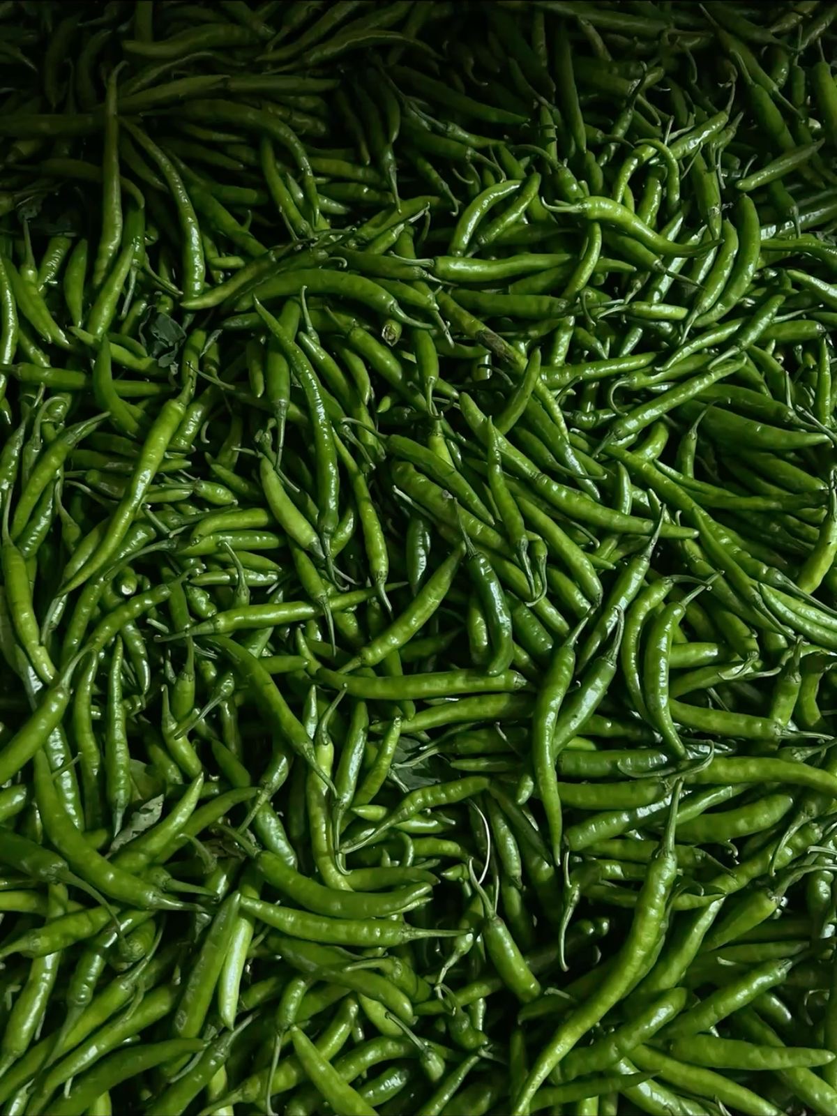 Close-up pile of fresh green chillies